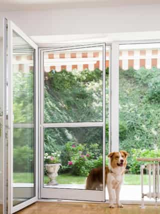 Insektenschutz Gartentür